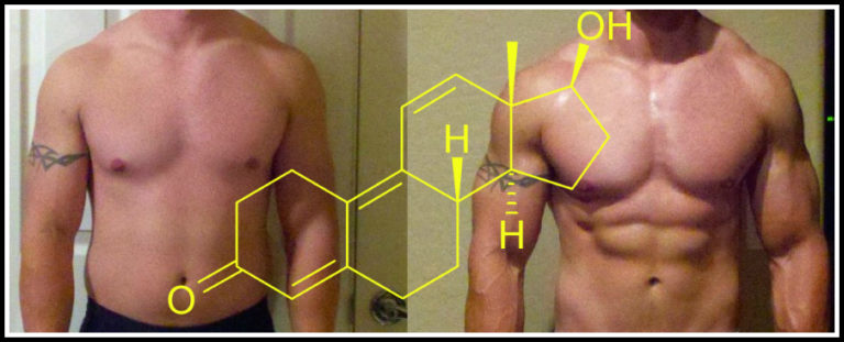 trenbolone