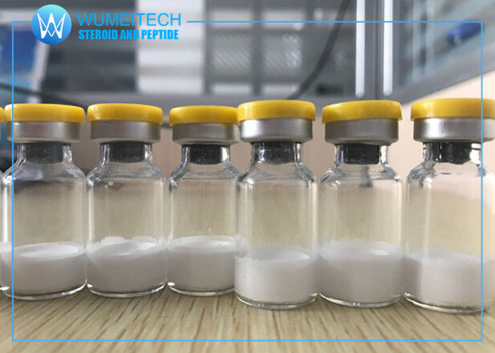 IGF1 LR3 Peptide 1 mg / Vial IGF1 LONG R3