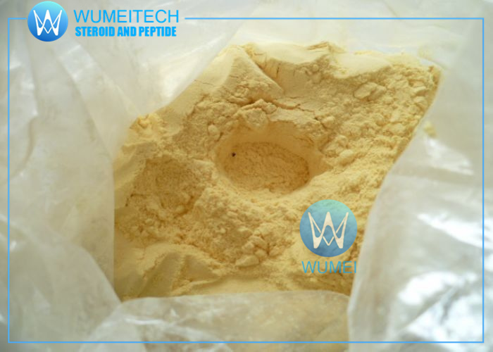 WUMEITECH - Anabolic Steroid Powder 23454-33-3Trenbolone 